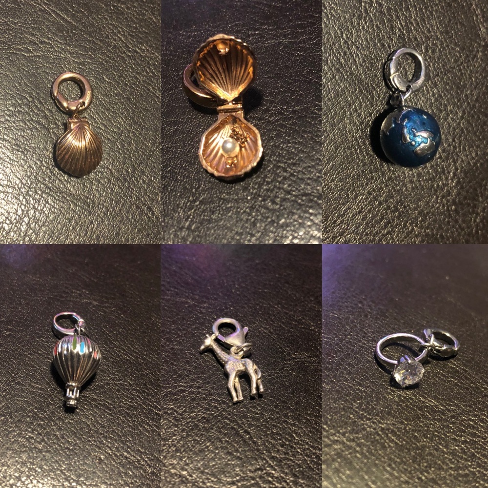 Fossil charm bracelet with Fossil Charms
